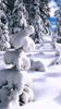 aleks04_529195.jpg