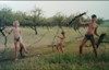 kmv-ok_324847.jpg