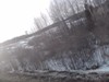 1258_933431.jpg